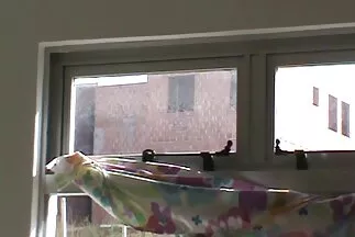Két kanos leszbikus hihetetlenül vad szőrőspunci spriccelése.